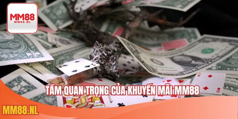 Tầm quan trọng của khuyến mãi MM88