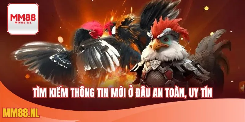 Tìm kiếm thông tin mới ở đâu an toàn, uy tín